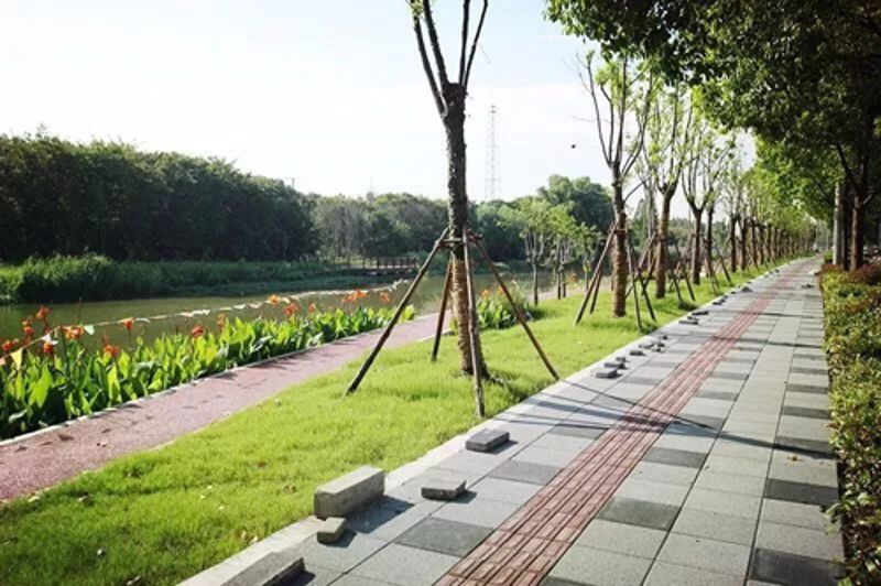 �Ϲ�NG��28(�й���)����Ʒ���������޹�˾